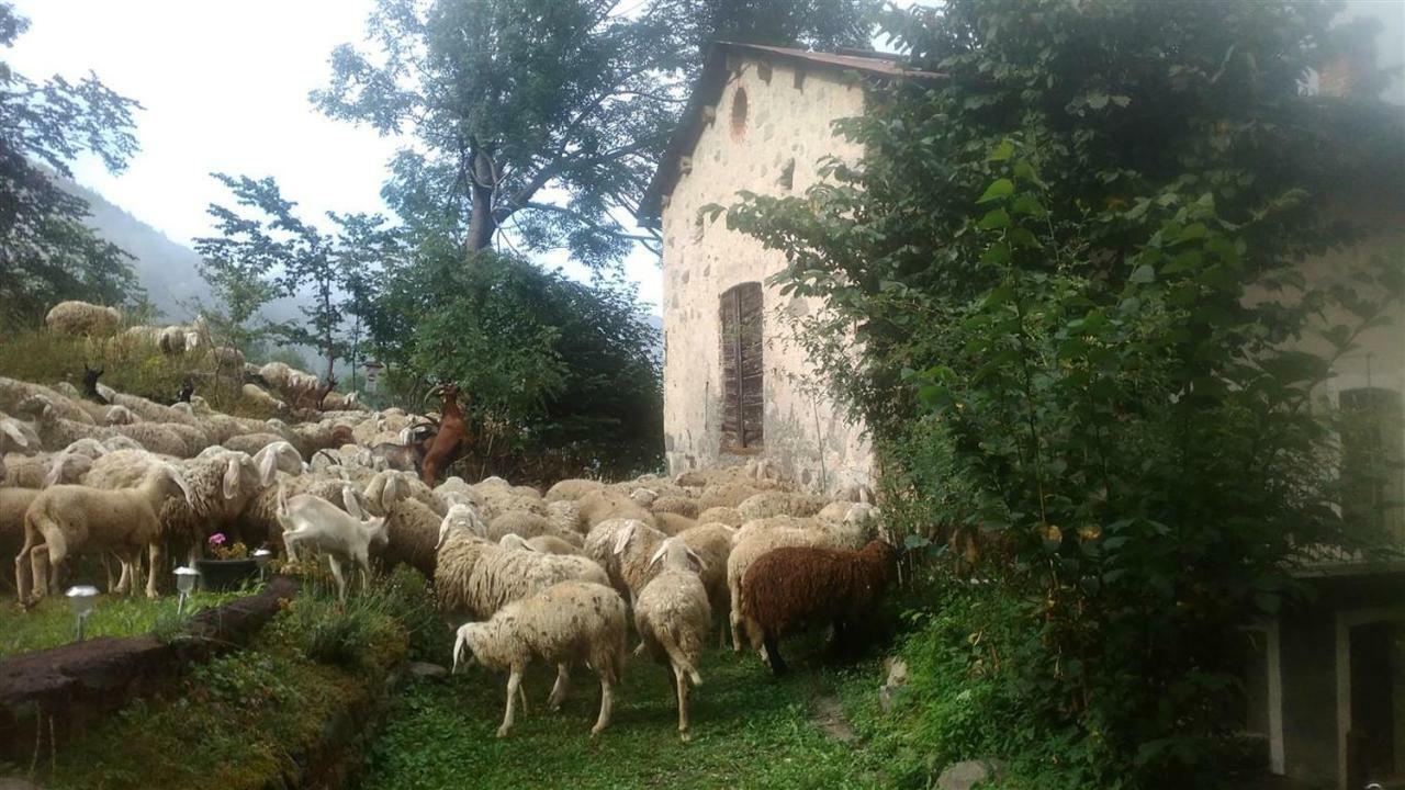 לימונה פיימונטה B&B L'Abric - Centro Storico Di Limonetto מראה חיצוני תמונה